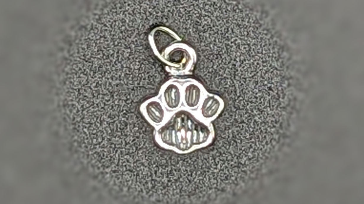 Sterling Silver Small Oxidized Paw Charm My Store